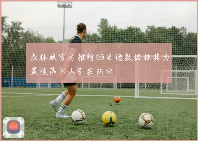 森林狼官方推特晒里德数据称其为最佳第六人引发热议